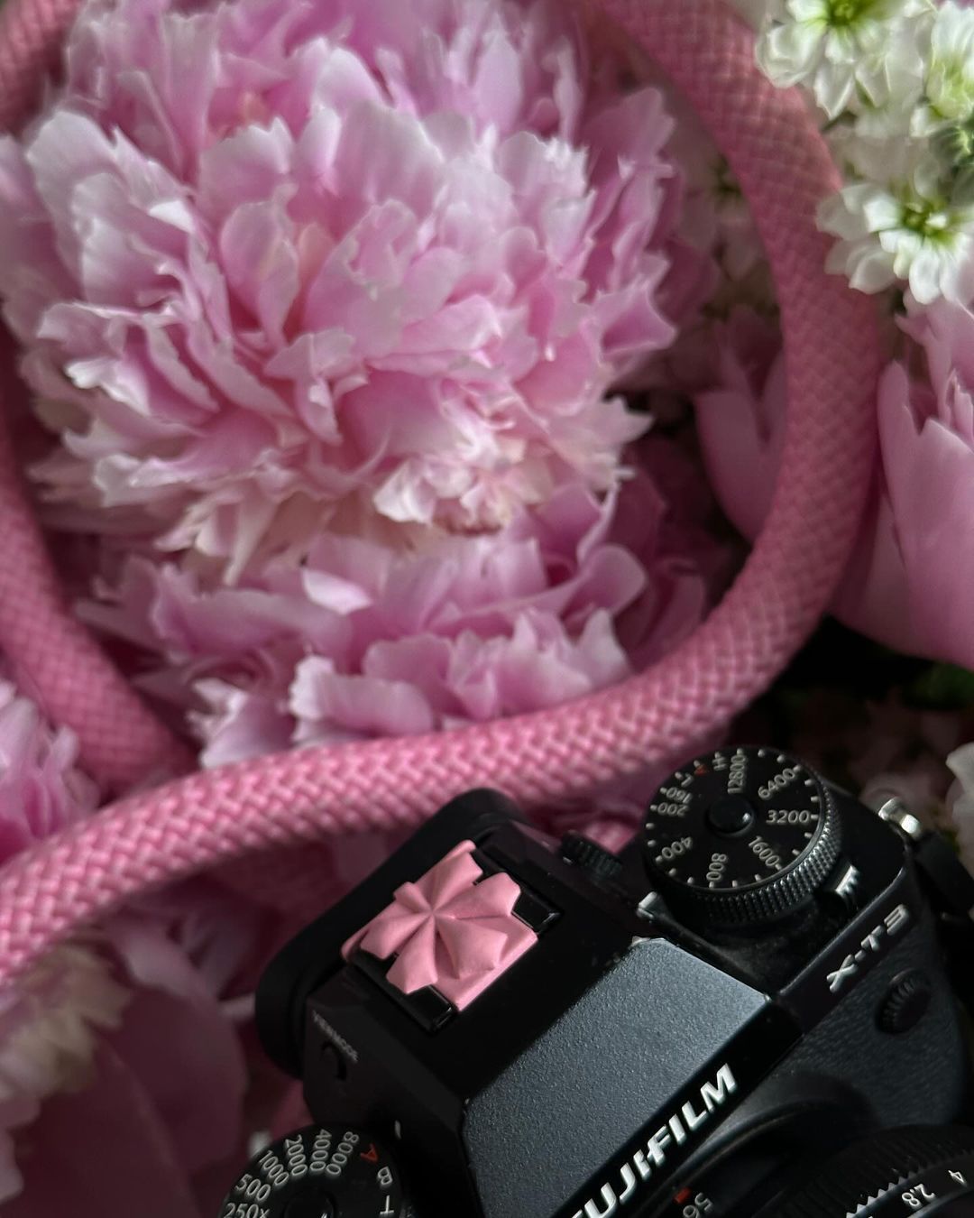 Заглушка «Каштан» для камер Native, рожева