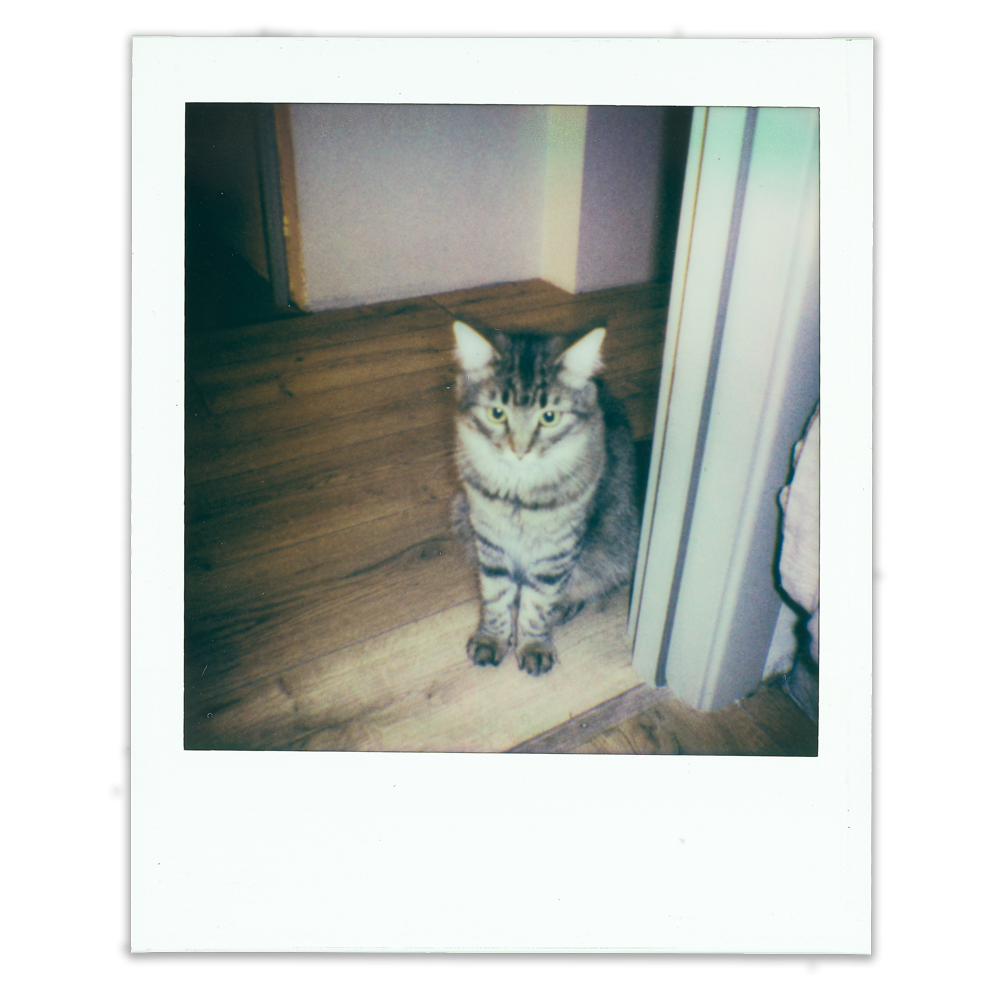 Камера Polaroid Go Gen 2, біла