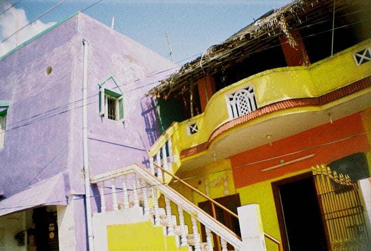 La Sardina Splendor Fotovramke 
