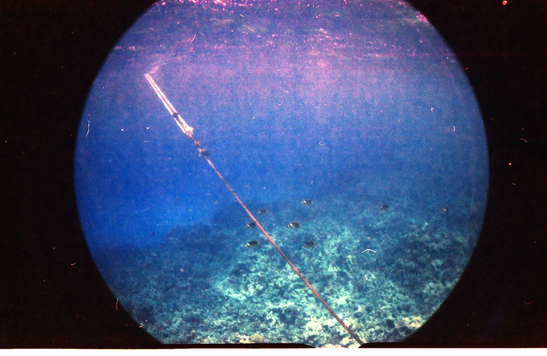 Бокс Fisheye для подводной съемки Fotovramke 